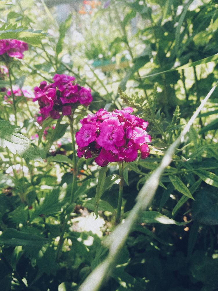 Photograph by Екатерина Шабурова
