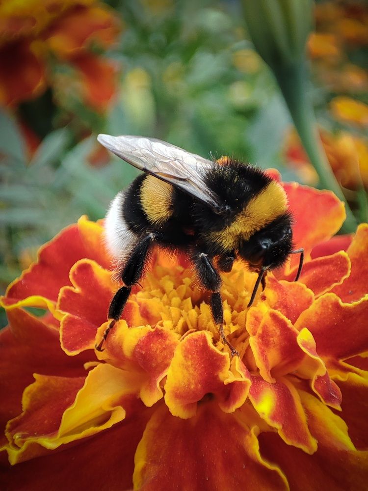 Photograph by Анастасия Дросу