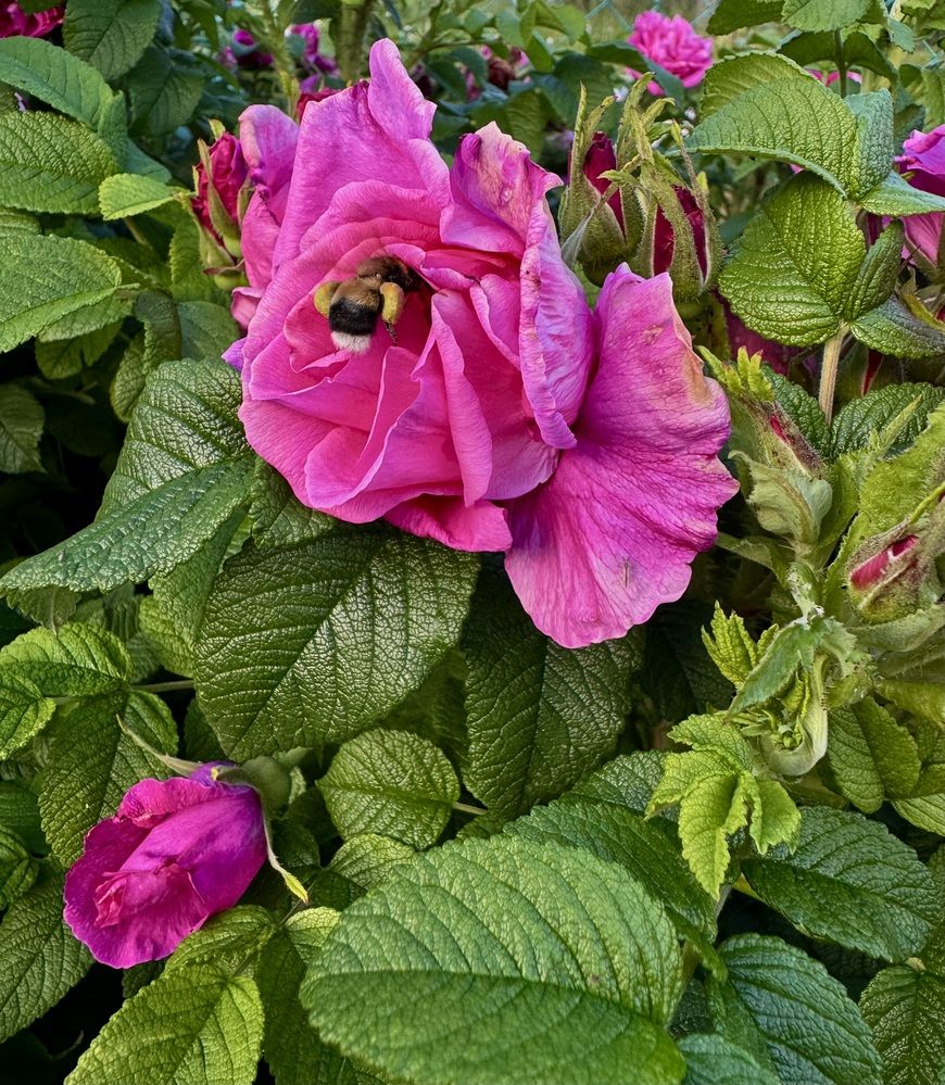 Photograph by Оксана Малышева