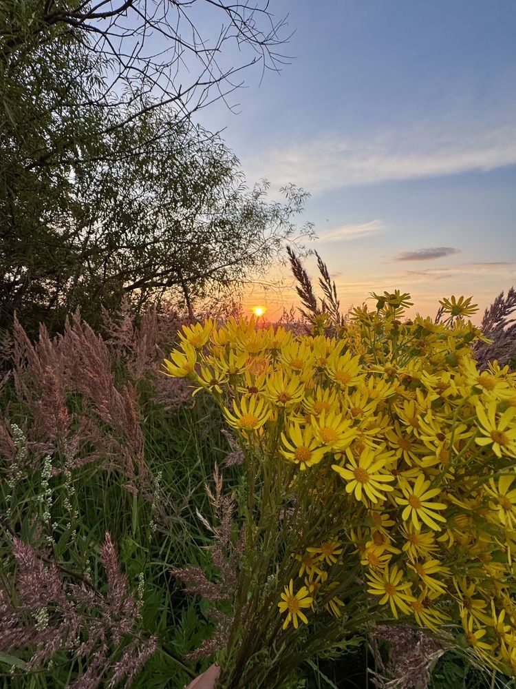 Photograph by Оксана Малышева