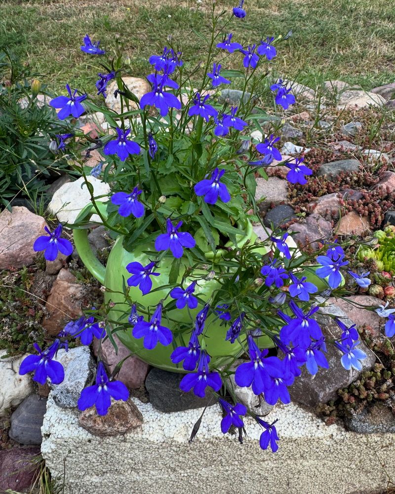 Photograph by Оксана Малышева