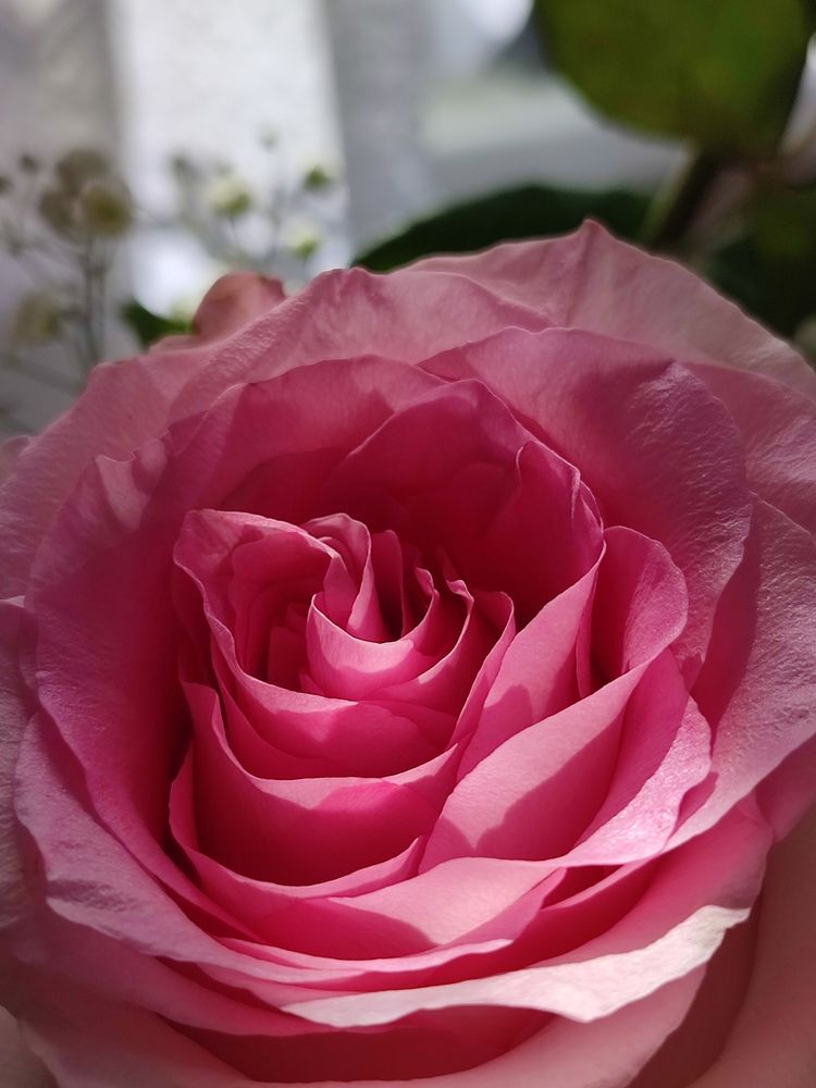 Photograph by Анастасия Дросу