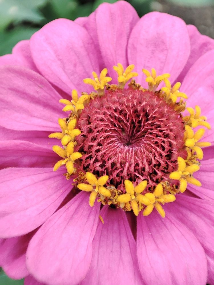 Photograph by Анастасия Дросу