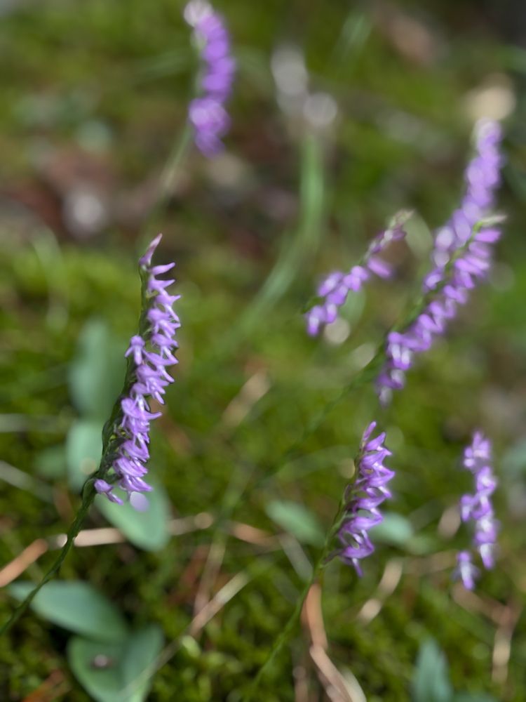 Photograph by Nadezda Yablokova