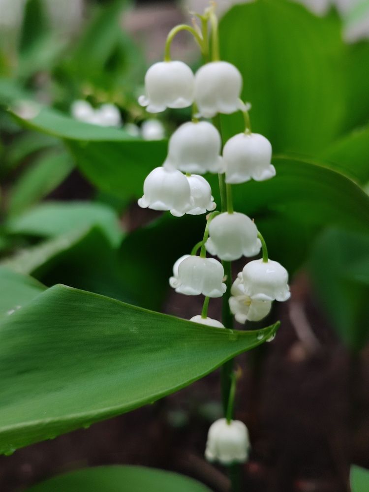 Photograph by Анастасия Дросу