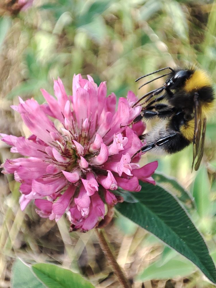 Photograph by Анастасия Дросу