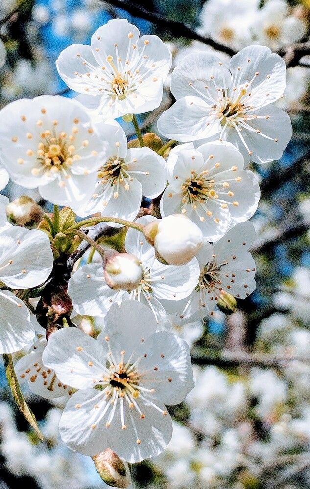 Photograph by Вячеслав Борисенко