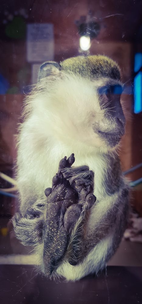 Photograph by Kim Natasha