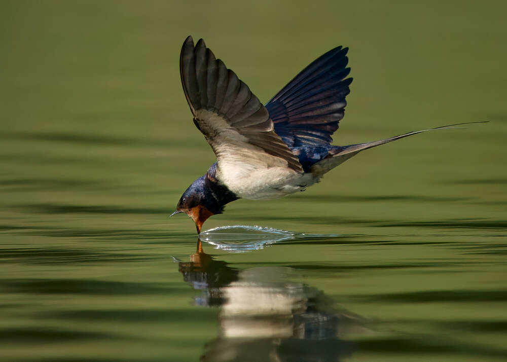 Photograph by Mikhail Khmelevskiy