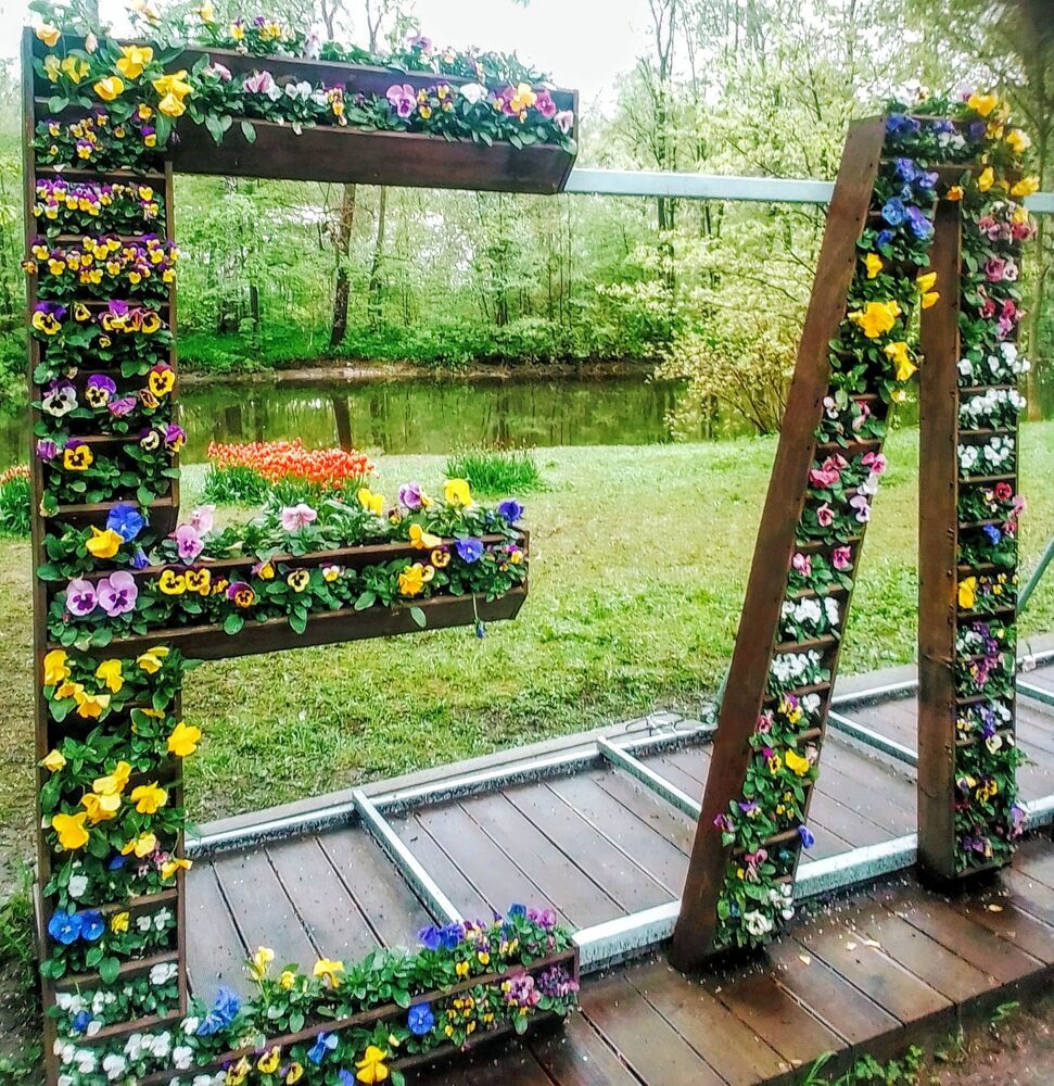 Photograph by Irina Mihailovskaya