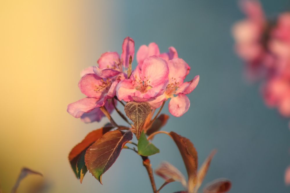 Photograph by Kim Natasha