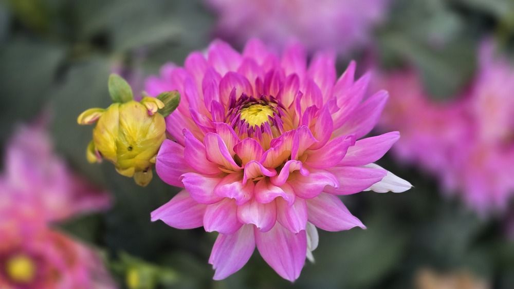 Photograph by Karolina Żółtowska