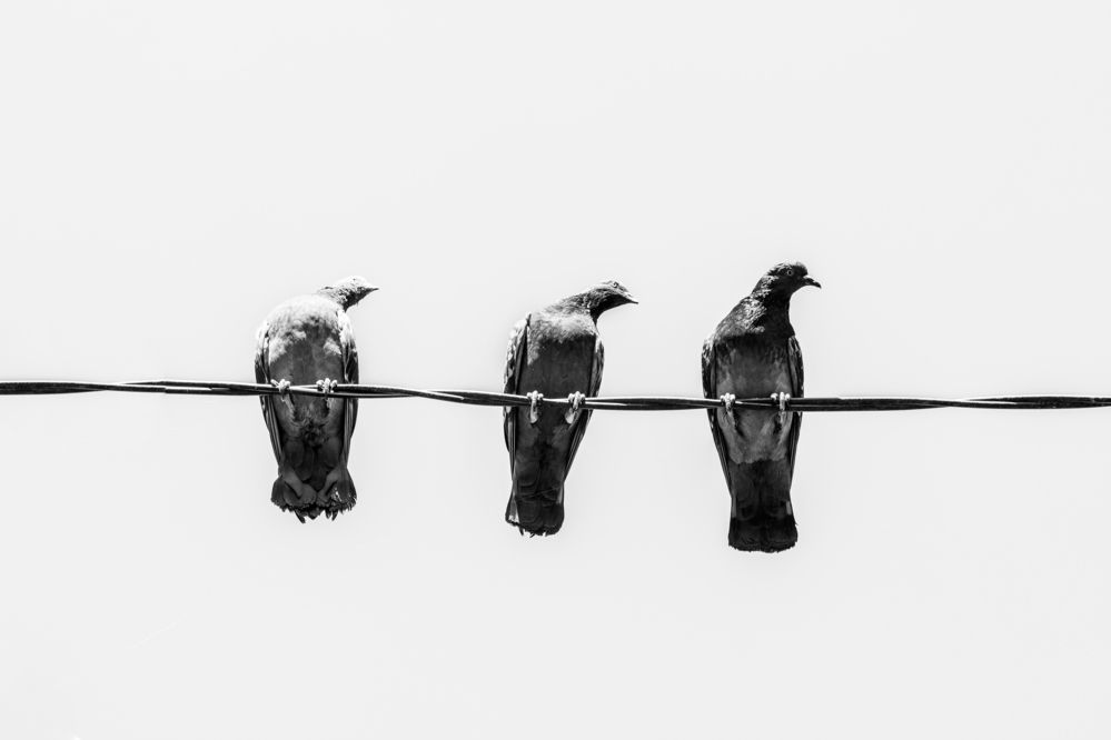 Photograph by Юлия Черкасова