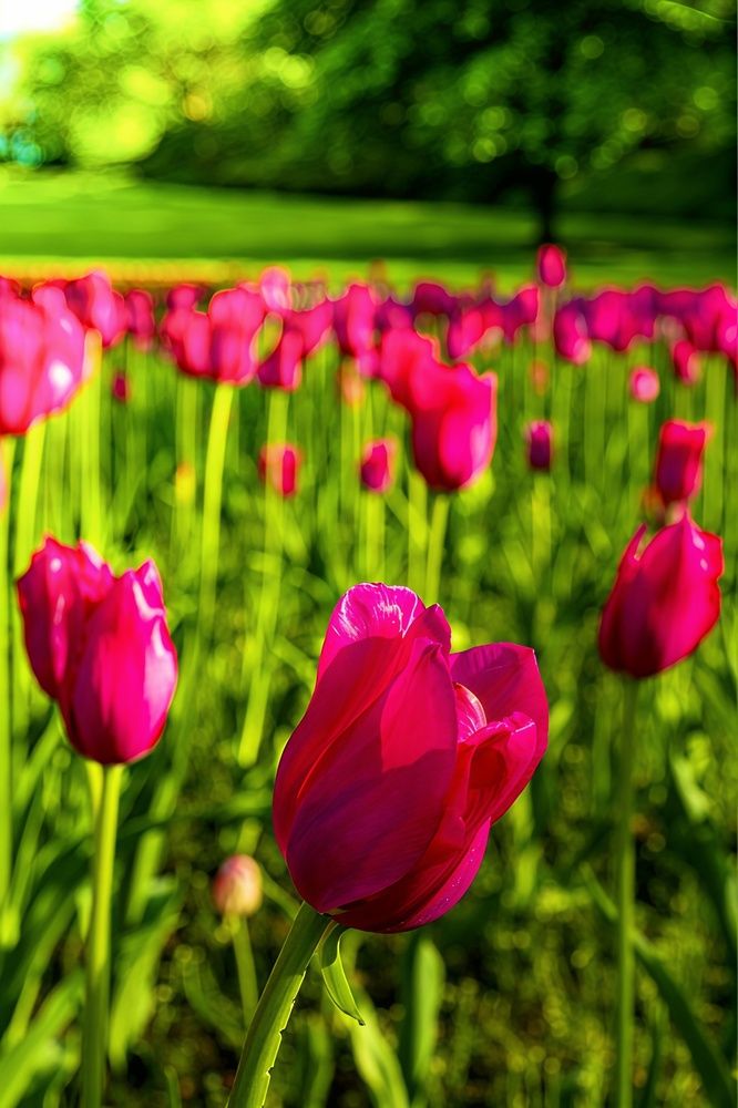 Фотография автора Igor Lukin