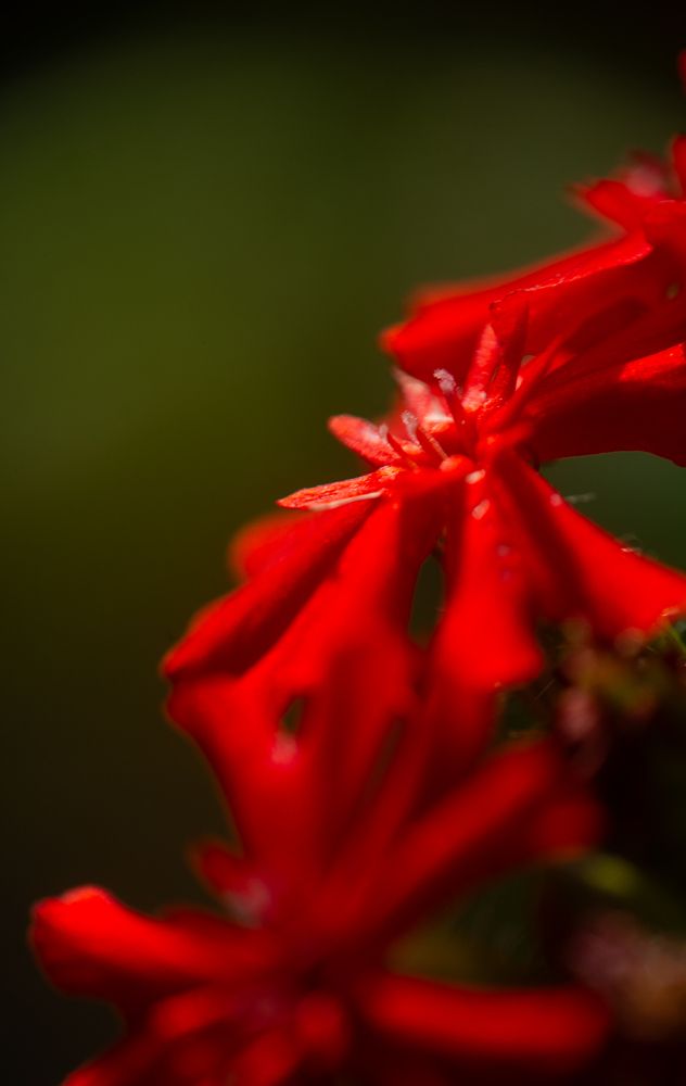 Photograph by Владимир Михайлов