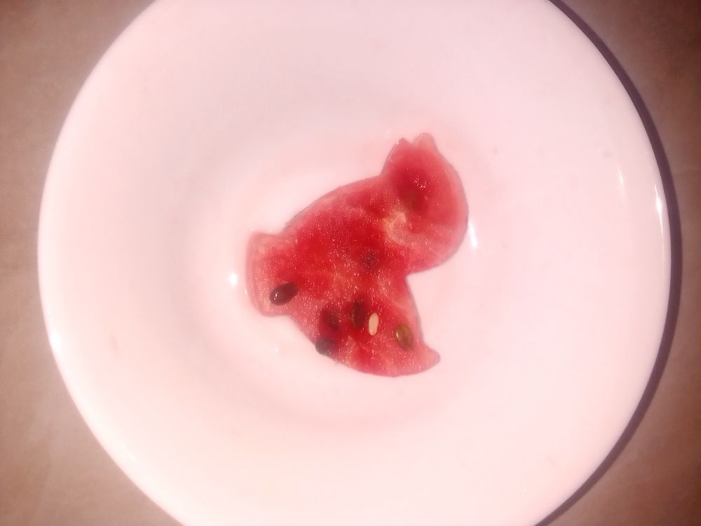 Photograph by Irina Mihailovskaya