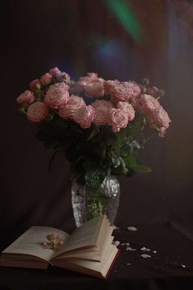 Photograph by Александра Черных