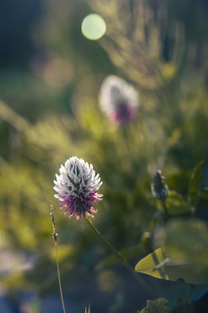 Photograph by Александр Арасланов