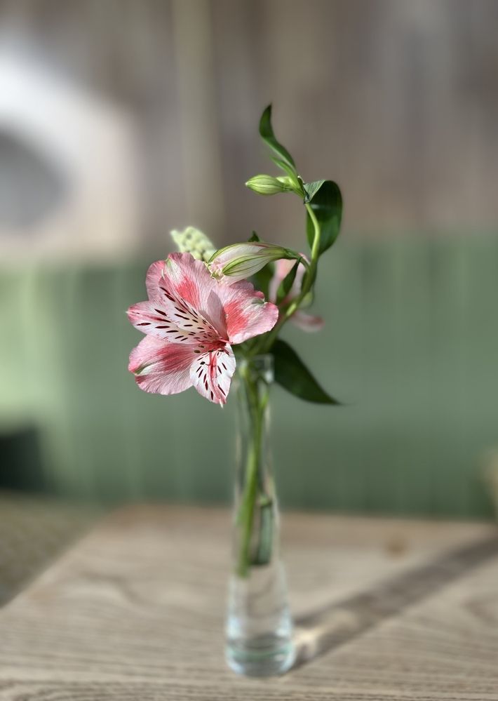 Photograph by Александра Черных