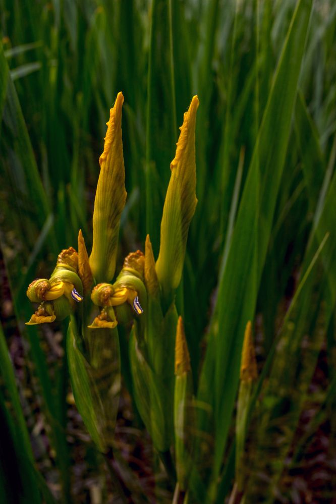 Photograph by Наталья Сафронова