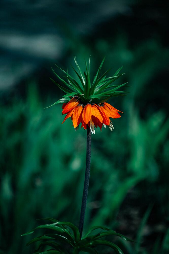 Photograph by Дарья Овчинникова