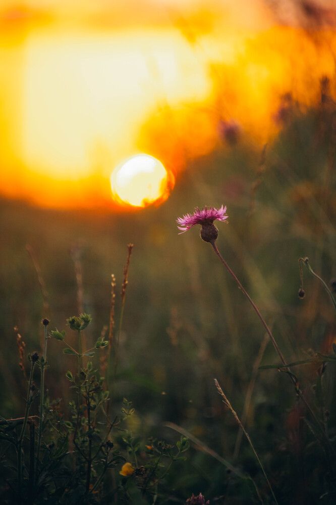 Photograph by Дарья Овчинникова