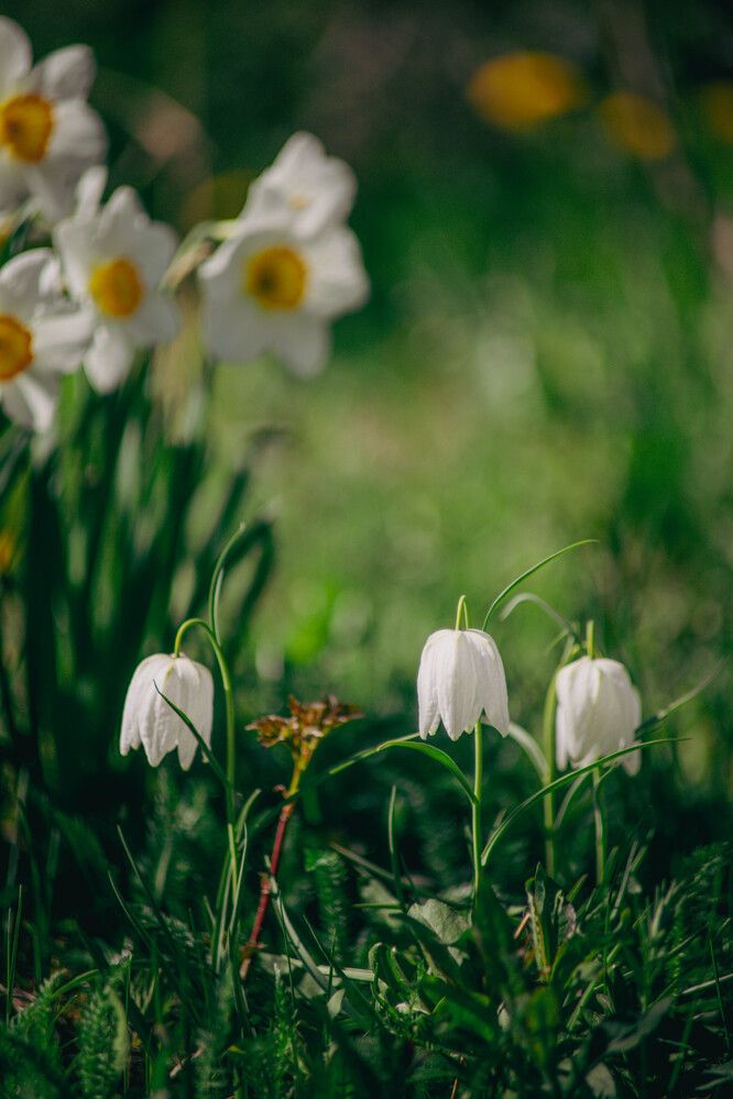 Photograph by Дарья Овчинникова