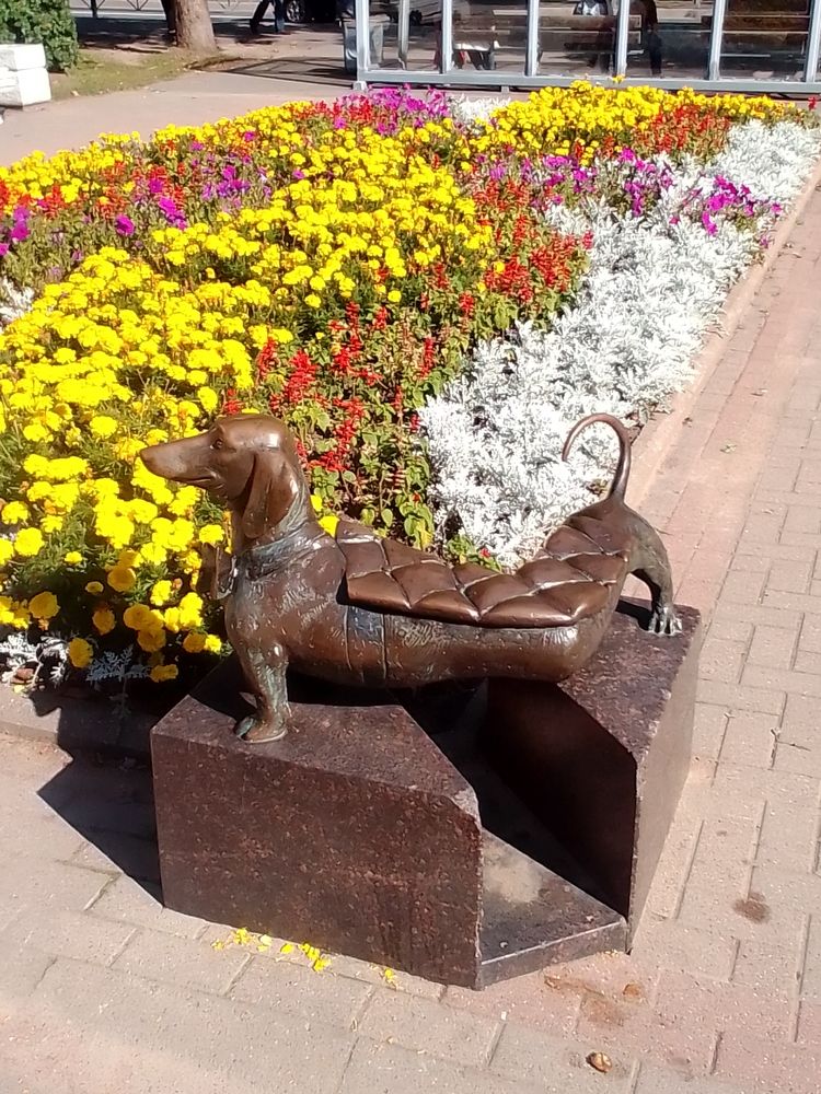 Photograph by Irina Mihailovskaya