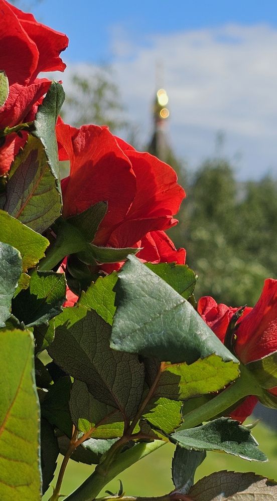 Photograph by Ирина Лукашова