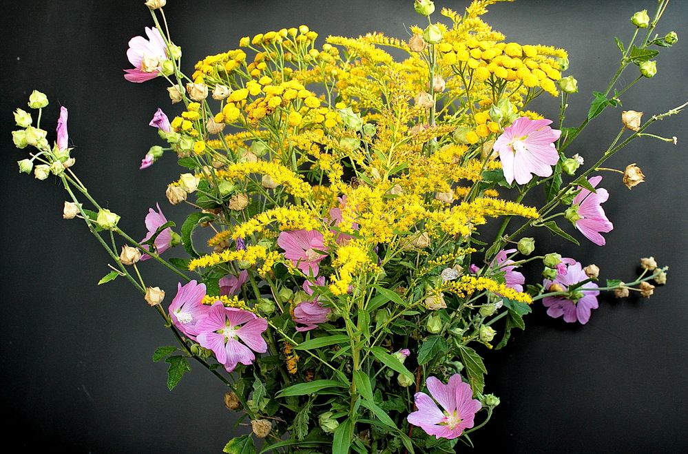 Photograph by Виталий Симоненков