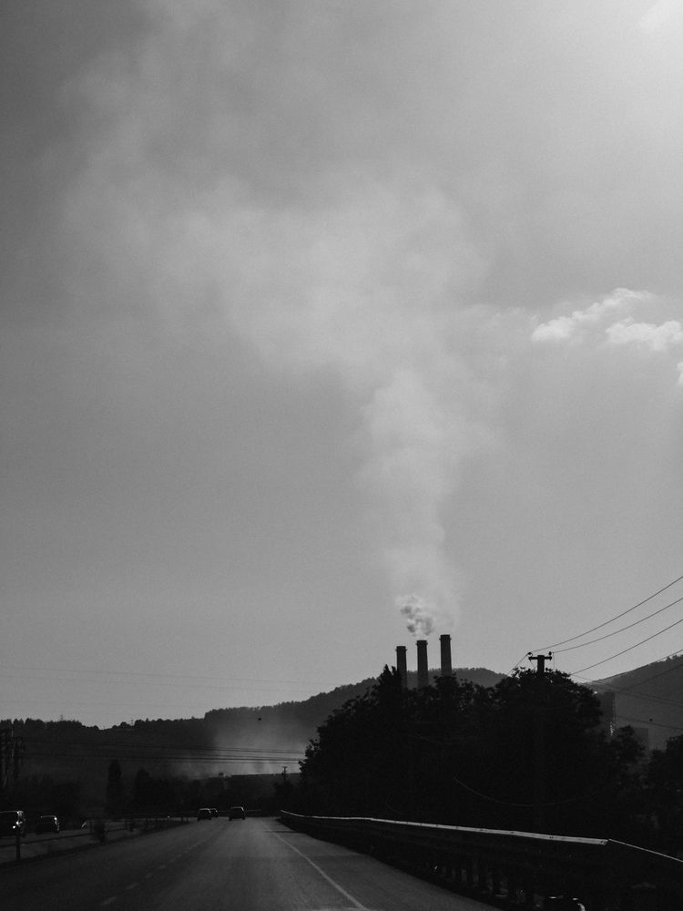 Photograph by Елена Михалева