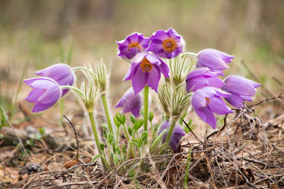 Photograph by Алексей Борисов