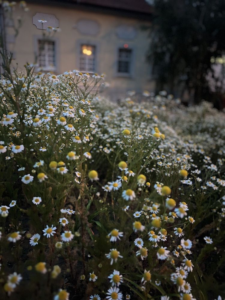 Photograph by Алёна Маринина