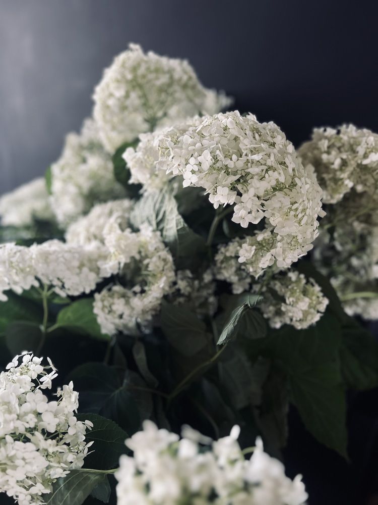 Photograph by Алёна Маринина