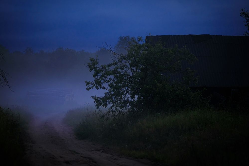 Photograph by Ольга Трифонова