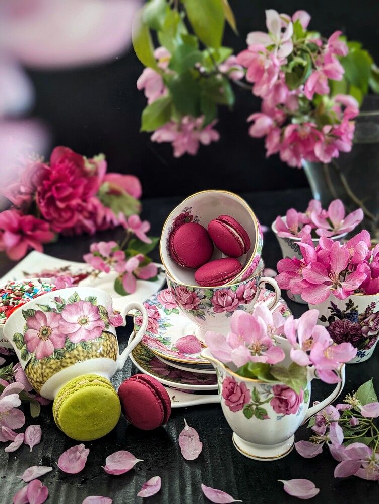 Photograph by Shaila Mahbub