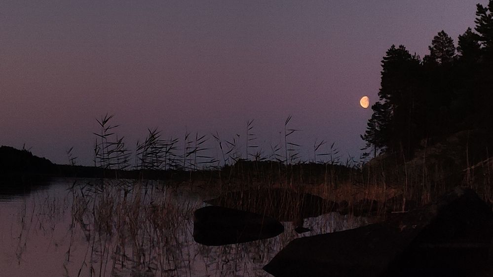 Photograph by Калюнова Наталья