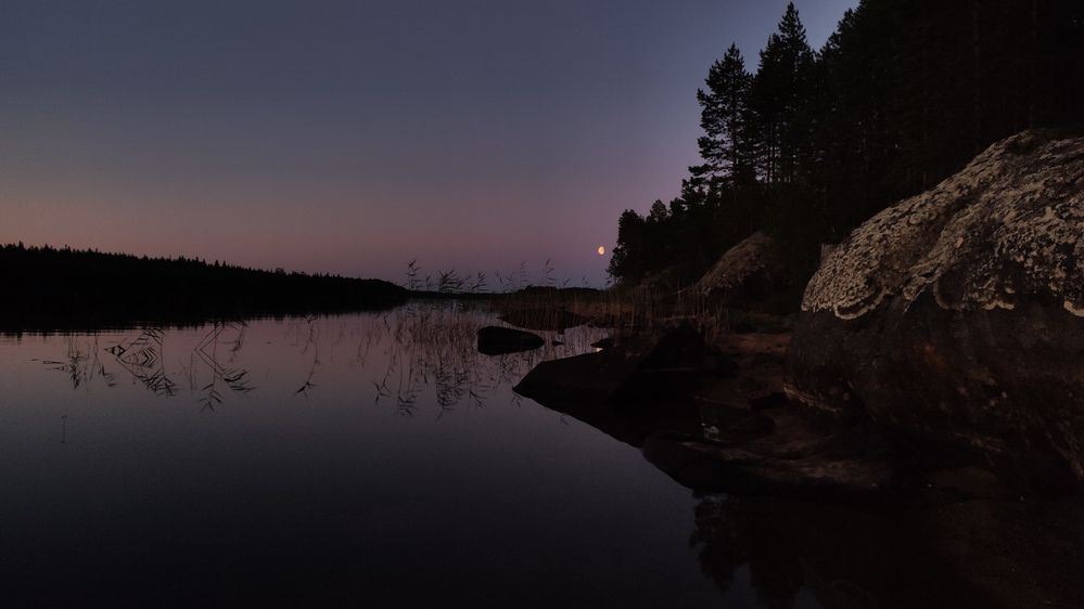 Photograph by Калюнова Наталья