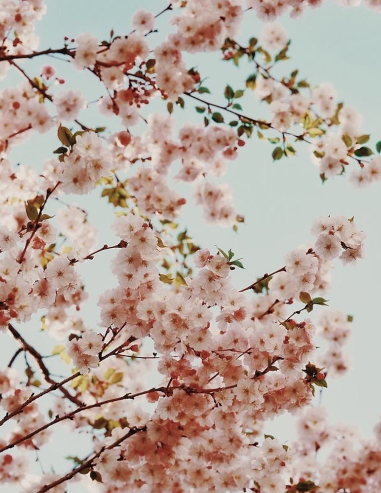 Photograph by Юлия Честнова