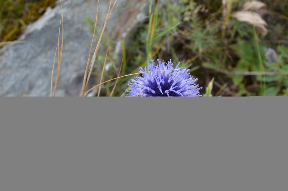 Photograph by Елена Савчук