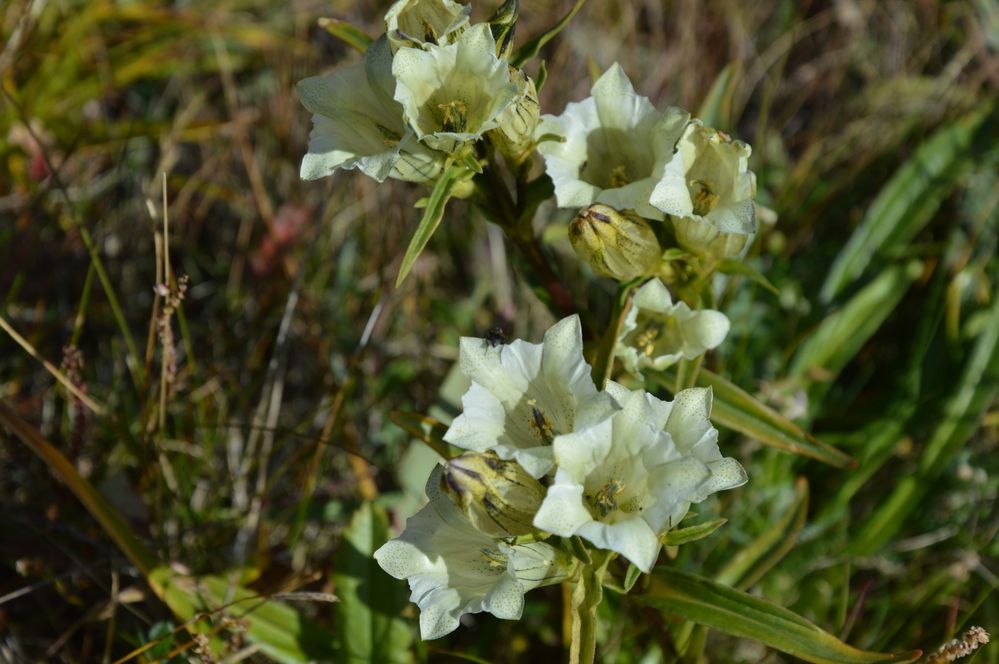 Photograph by Елена Савчук
