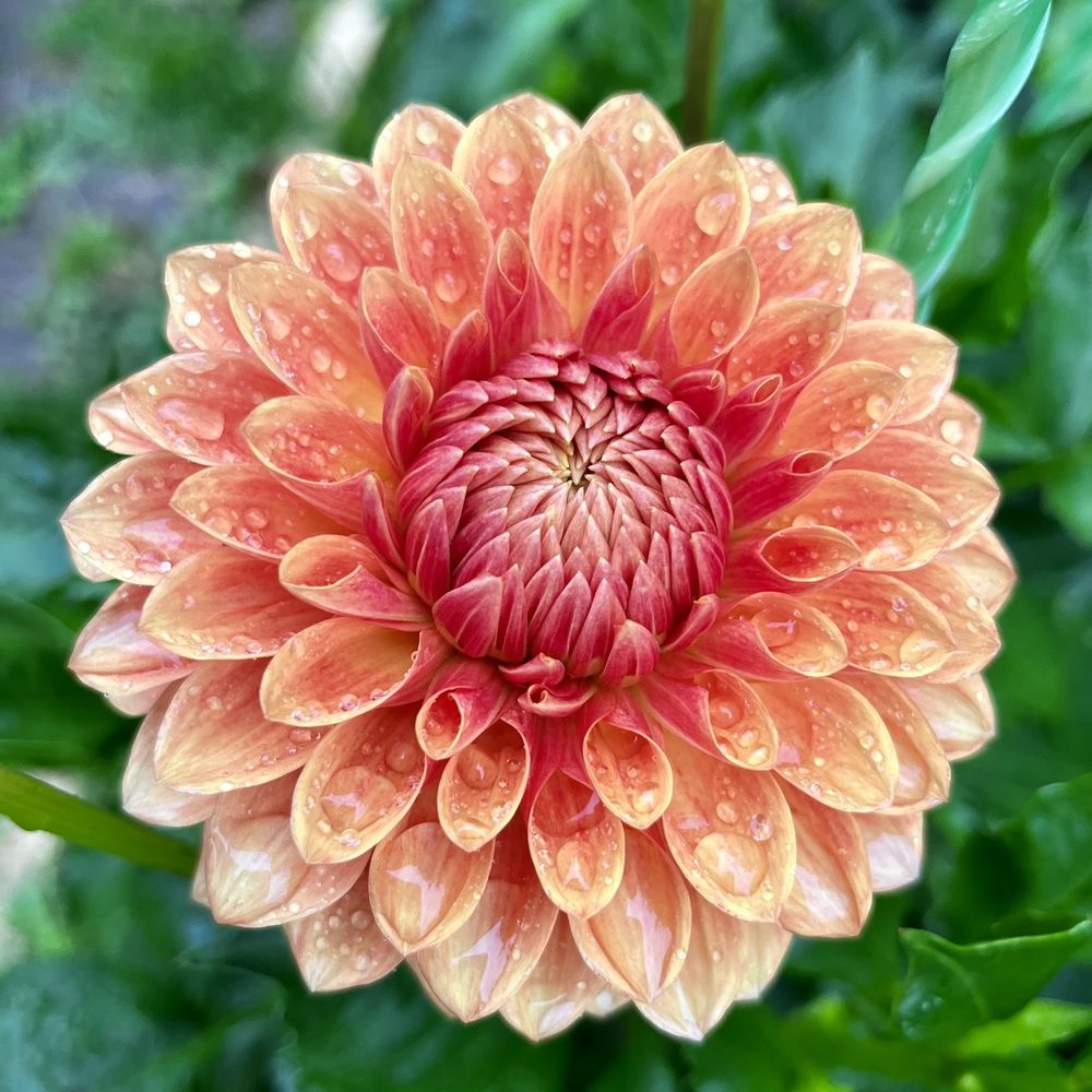 Photograph by Сергей Малеев