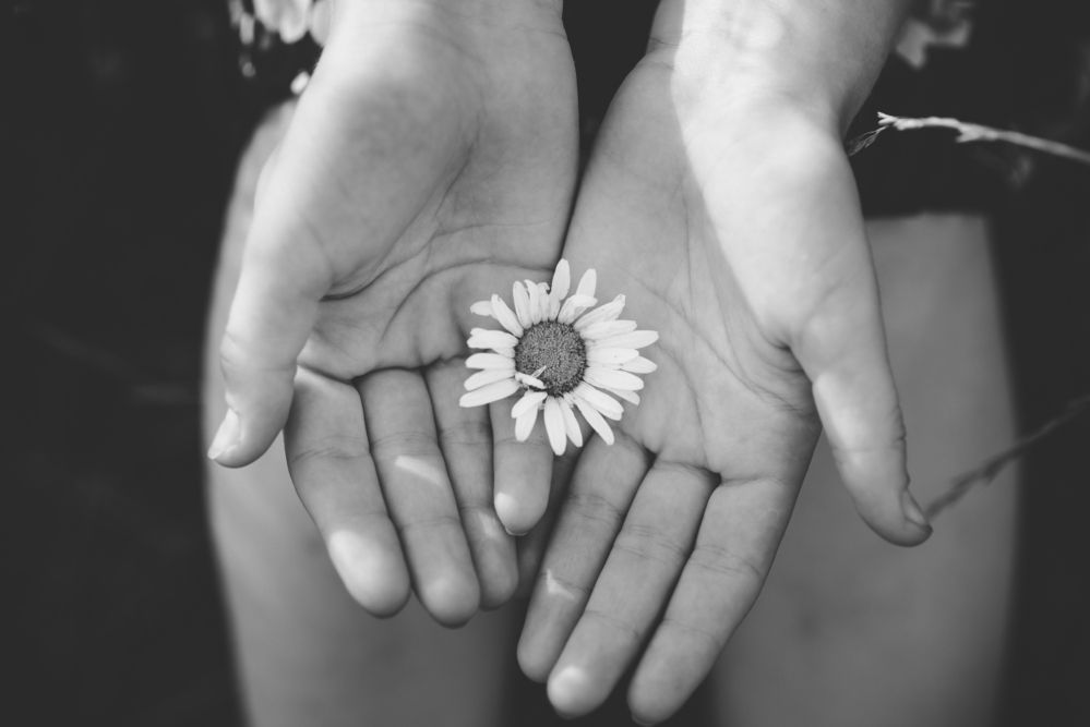 Photograph by Елена Владимировна