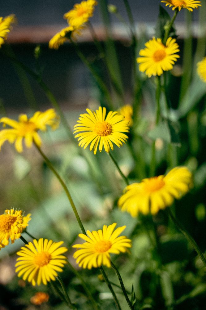 Photograph by Софья Титова