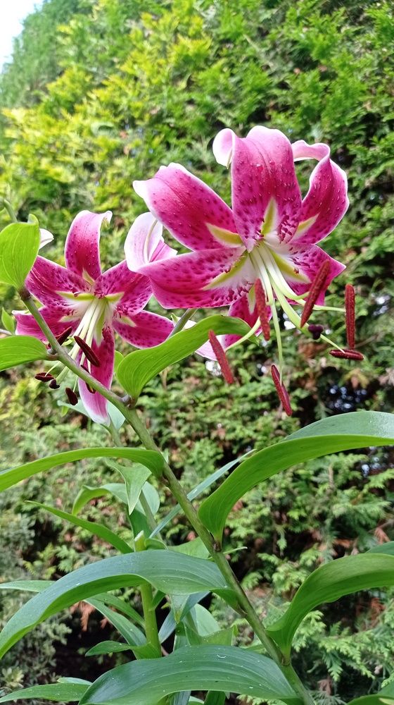 Фотография автора Костя