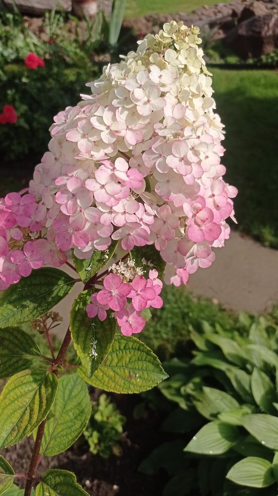 Фотография автора Костя