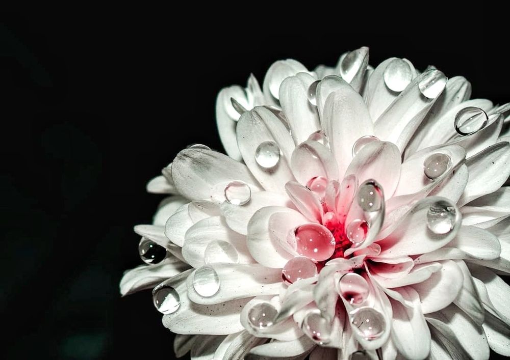 Фотография автора Karukola Puneeth