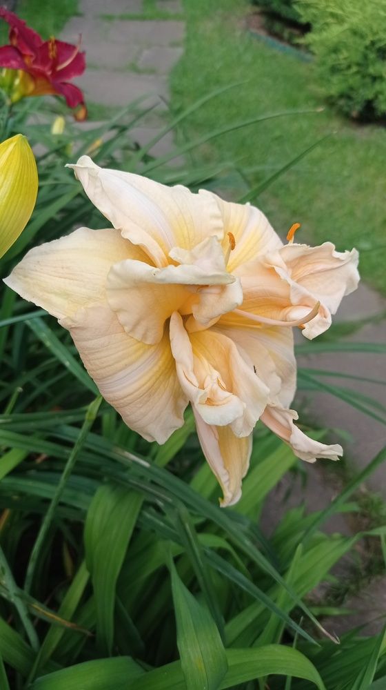 Фотография автора Костя