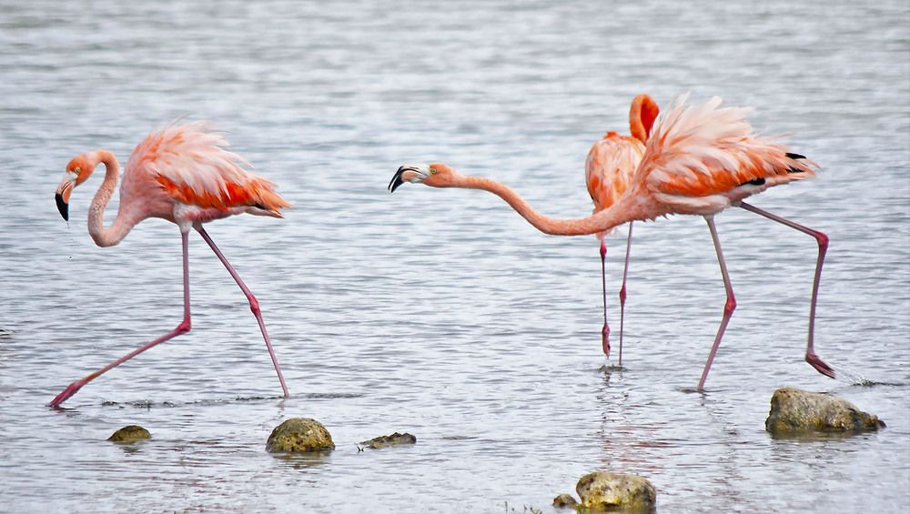 Photograph by Marjo Steffen