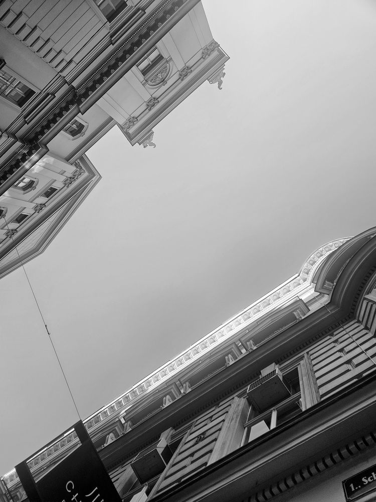 Photo #12485812